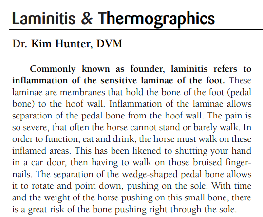 laminitis & thermographics