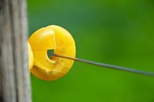 Farmers put up an electric fence